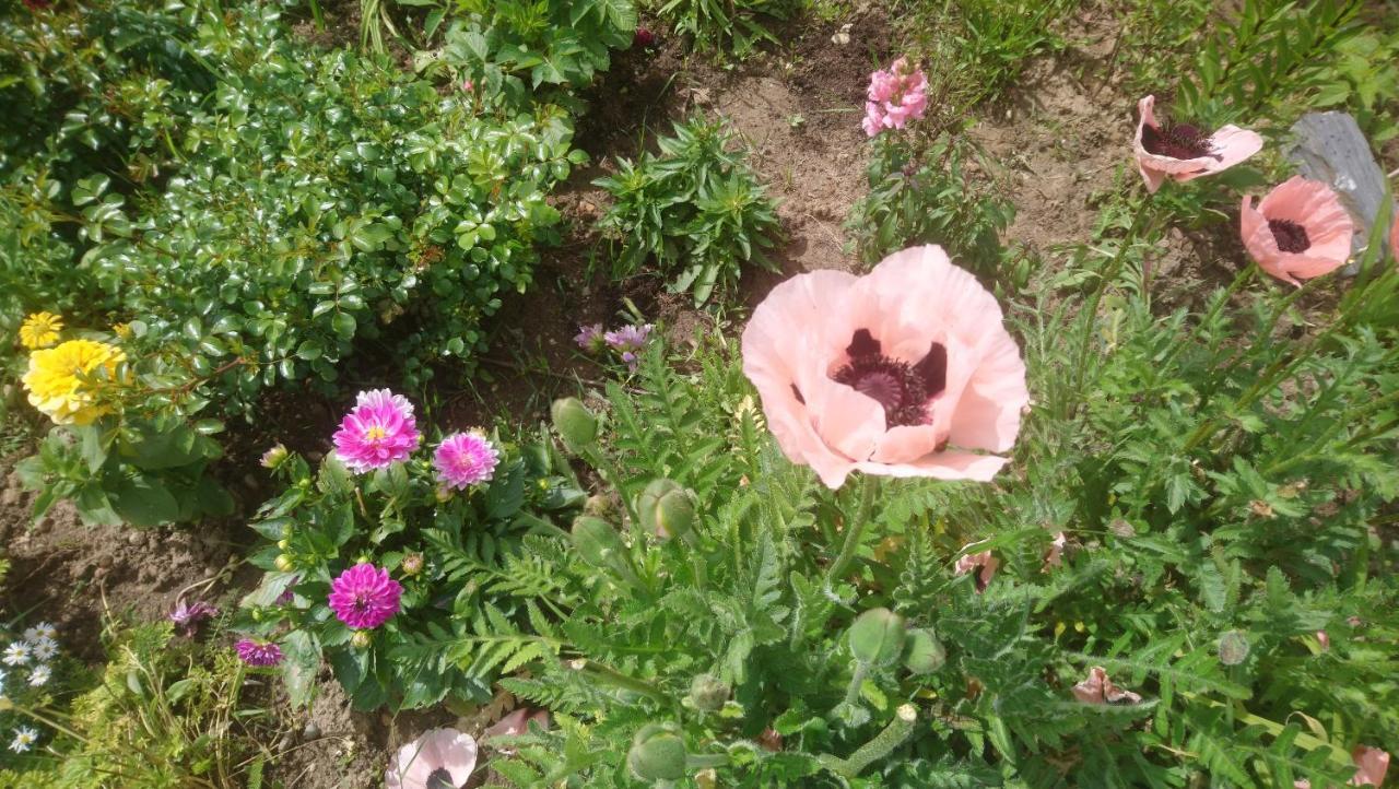 Le Bonheur A Portee De Mains 베르주라크 외부 사진